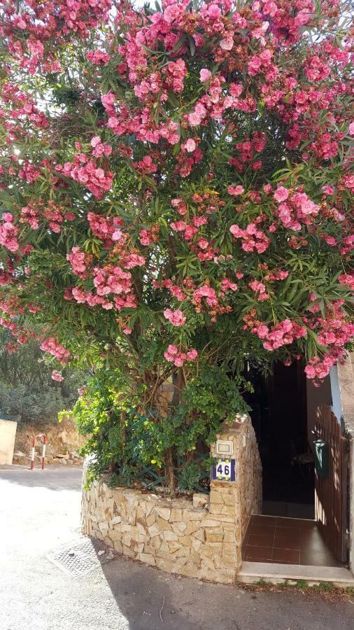 Bilocale Il Geraneo Villa Villasimius Exterior foto